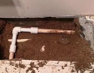 双湖测漏水哪家好