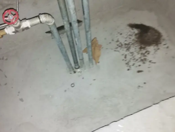 双湖卫生间测漏水价格明细